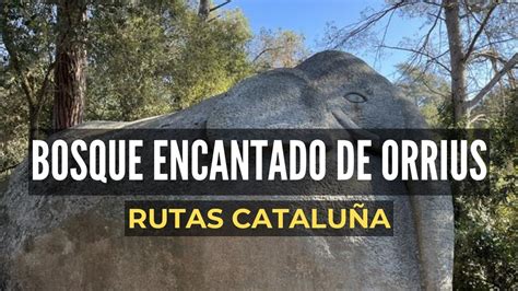 bosque encantado barcelona|Ruta Bosque encantado de Òrrius